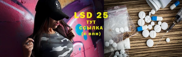 МДПВ Вяземский