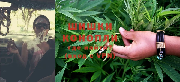 МДПВ Вяземский