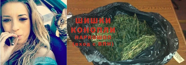 МДПВ Вяземский