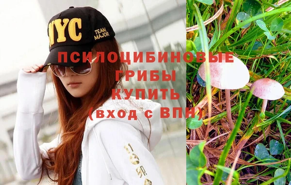 соль ск Вязьма