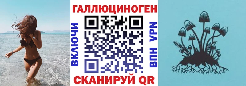 Галлюциногенные грибы Psilocybe продажа наркотиков Заринск