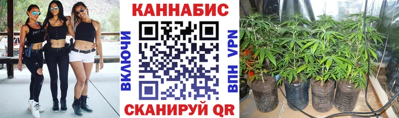 Бошки марихуана Bruce Banner Заринск